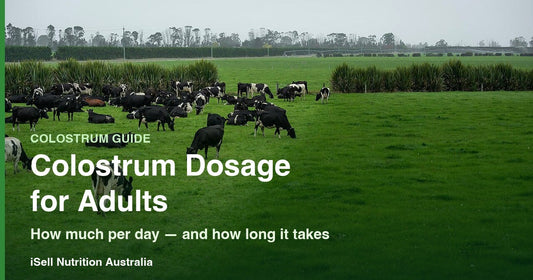 Colostrum dosage for adults — how much colostrum per day and how long it takes | iSell Nutrition Australia